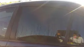 278-58372l Bmw Driver Rear Door Glass Sedan Fits 01-05 325i 93353 278-58372l Bmw Driver Rear Door Glass Sedan Fits 01-05 325i 93353