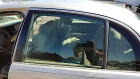 25719240 Buick 1997-05 Park Ave Ultra Driver Left Rear Side Window Door Glass Oem Back 25719240 Buick 1997-05 Park Ave Ultra Driver Left Rear Side Window Door Glass Oem Back