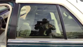 25632481 Cadillac 98-04 Seville Driver Left Rear Side Window Door Glass Oem Back 25632481 Cadillac 98-04 Seville Driver Left Rear Side Window Door Glass Oem Back