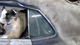 Ford 284-03379l 1969-1970 Mustang Driver Left Quarter Glass Ftbk