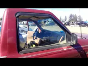 277-05424r Ford Truck Passenger Right Front Door Glass Fits 93-97 Ranger 25596544