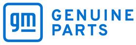 Gm 90241638 Genuine Back Glass