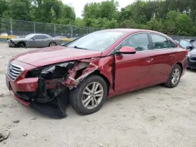 277-59595r Hyundai Local Pickup Only Passenger Right Front Door Glass Us Built Fits 15-19 Sonata