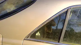 279-56786r Infiniti Passenger Right Rear Door Vent Glass Fits 97-01 Q45 27643