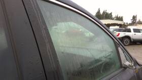 Kia Fd26506gt Passenger Right Front Door Glass With Solar Fits 15-21 Sedona 31795543