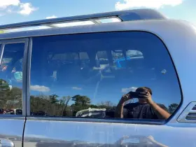 284-59368fl Lexus 04-07 Lx470 Oem Rear Quarter Glass Window Driver Left
