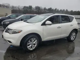 278-50328ar Nissan Passenger Rear Door Glass Privacy Tint Fits 09-14 Murano 7375467 278-50328ar Nissan Passenger Rear Door Glass Privacy Tint Fits 09-14 Murano 7375467