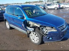 275-50279 Volkswagen Back Glass Fits 09-11 Tiguan 661283