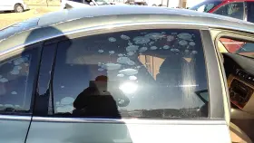 3b5845026 Volkswagen 1998-05 Vw Passat Passenger Right Rear Side Window Door Glass Oem Back 3b5845026 Volkswagen 1998-05 Vw Passat Passenger Right Rear Side Window Door Glass Oem Back