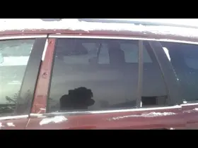 278-58497bl Volvo Driver Left Rear Door Glass Hardened Fits 03-14 Xc90 23635653