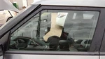 2014-2019 Kia Soul Driver Left Front Side Window Door Glass Oem 82410B2020 Used. Price: $142.43.