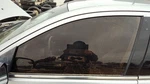 2006-2012 Ford Fusion Driver Left Front Side Window Door Glass Oem 6H6Z5421411A Used. Price: $118.53.
