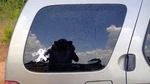 Passenger Quarter Glass Privacy Tint Fits 00-04 Xterra 246997 Used. Price: $165.59.