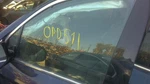 Driver Left Front Door Glass With Acoustic Fits 19-25 Passport 32829450 Used. Price: $178.67.