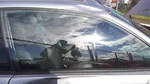 Passenger Right Front Door Glass Coupe Fits 01-06 Bmw 325I 32073542 Used. Price: $110.70.