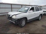Driver Quarter Without In-glass Antenna Fits 03-06 Santa Fe 1406096 Used. Price: $84.50.