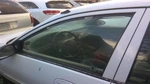 Driver Left Front Door Glass Sedan Fits 97-02 Escort 30974369 Used. Price: $110.70.
