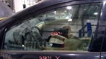 06-14 Subaru Tribeca Front Door Glass Left Driver Side Oem 61011XA03A Used. Price: $99.99.