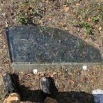 94-01 Acura Integra 2D-RIGHT Passenger Front Window Glass Oem #253*G-01 Used. Price: $79.23.