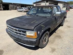 Passenger Right Front Door Glass Fits 87-96 Dakota 1497632 Used. Price: $50.00.