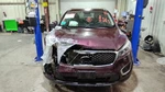 Passenger Front Door Glass Without Acoustic Fits 16-20 Sorento 1176862 Used. Price: $125.00.