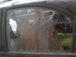 Driver Left Rear Door Glass Fits 96-00 Elantra 1622953 Used. Price: $48.00.