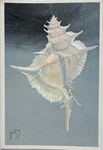 United Airlines Coach Class Menu - 1980'S Helen De Werd Alabaster Murex Shell Used. Price: $9.00.