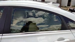 11-15 Hyundai Sonata Driver Left Rear Side Window Door Glass Oem Back 834113S010 Used. Price: $106.88.