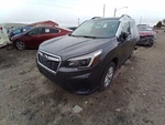 Driver Rear Door Glass Green Tint Fits 19-24 Forester 12921346 Used. Price: $126.02.