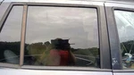 2001 - 2006 Hyundai Santa Fe Rear Door Glass Privacy Rh Passenger Oem 8342126020 Used. Price: $83.14.