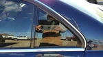 2012-2014 Mercedes C300 Driver Left Rear Vent Window Back Door Glass With Frame Used. Price: $175.75.
