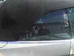 18-21 A5 S5 Convertible Right Quarter Glass Window Oem 8W7845298B 8W7845298C Used. Price: $247.50.