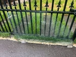 Bmw Oem E30 Coupe Door Glass Right Passenger Early Used. Price: $149.99.