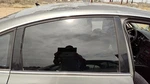 1998-05 Vw Passat Passenger Right Rear Side Window Door Glass Oem Back 3B5845026 Used. Price: $106.88.