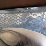 Back Glass Fixed Regular Cab Fits 89-95 Toyota Pickup Used. Price: $84.99.