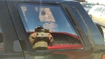 1990-1995 Nissan Pathfinder Driver Left Rear Quarter Glass Back Side Window Oem Used. Price: $187.50.
