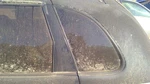 Driver Quarter Glass Hatchback Privacy Tint Fits 01-10 Pt Cruiser 291107 Used. Price: $144.79.