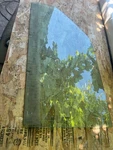Bmw E21 320I Door Left Window Glass Oem Used. Price: $129.99.