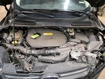 Lh Driver Side 2016 Escape Front Door Glass SKU#4421628 Used. Price: $127.30.