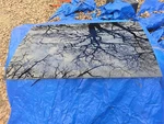 Honda Odyssey 99-04 Rear Left Driver Side Door Window Glass 73350-S0X-308 Used. Price: $44.99.