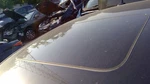Roof Glass Fits 17-24 Audi A4 352031 Used. Price: $150.00.