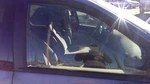 2001-2003 Chrysler Voyager Passenger Right Front Side Window Door Glass Oem Used. Price: $115.07.