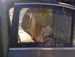 Driver Left Rear Door Glass Sedan Fits 06-10 Passat 3762923 Used. Price: $40.00.