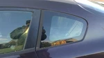 Driver Left Quarter Glass Coupe Fits 08-13 Altima 268246 Used. Price: $165.59.