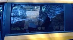 Rear Door Glass Dodge Caravan Town And Country Lh Driver 08 - Oem 5020651AB Used. Price: $97.99.