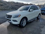 Passenger Rear Door Glass 166 Type Suv Fits 16-19 Mercedes Gle-class 31920246 Used. Price: $132.84.
