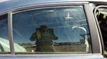 00-04 Lesabre Buick Passenger Right Rear Side Window Door Glass Oem Back Used. Price: $110.93.