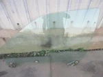 95-99 Legacy Lh Front Door Glass Outback Used. Price: $70.00.