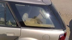 1993-1995 Saturn SW2 Driver Left Rear Quarter Glass Back Side Window Oem Used. Price: $213.75.