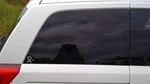 Passenger Quarter Glass Privacy Tint Manual Flip Out Fits 04-09 Quest 237943 Used. Price: $166.39.